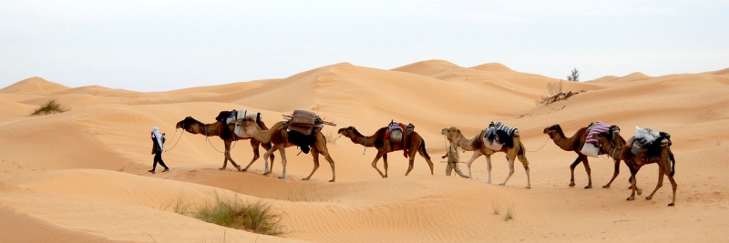 TOUR MERAVIGLIE DELLA TUNISIA Africa