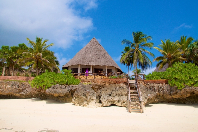 PRIMAVERA a ZANZIBAR Africa
