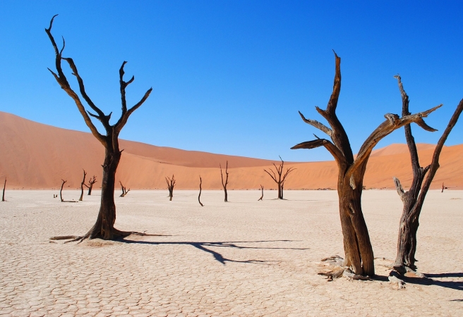 VIAGGIO DI NOZZE IN NAMIBIA Africa