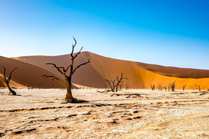 DAL FISH RIVER CANYON ALL'ETOSHA NATIONAL PARK Africa