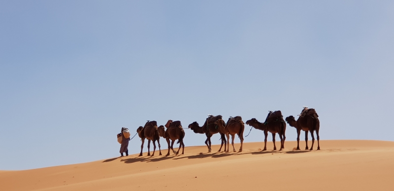 CAPODANNO 2027 MAROCCO Africa